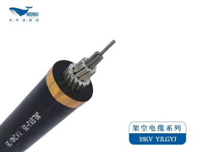 架空電纜系列JKLYJ，JKLGYJ 0.6/1KV