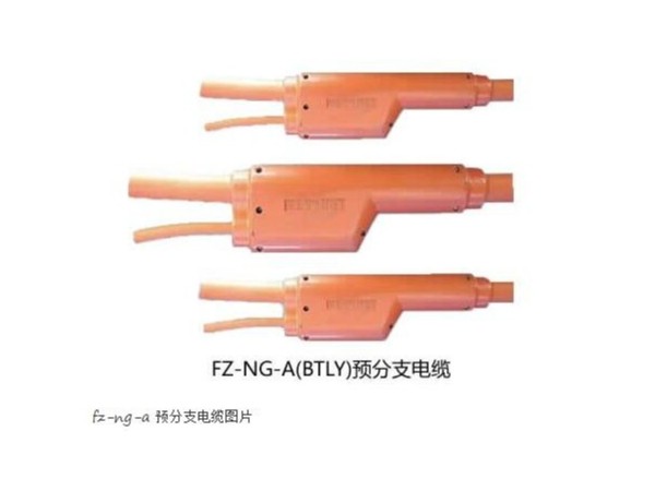 FZ-<i style='color:red'>ng-a</i>(FZ-BTLY)防火分支電纜